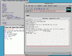 a tclet client
embedded in Netscape, alongside a regular standalone client